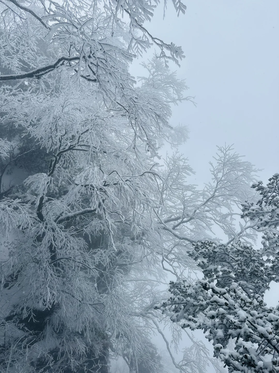 西安至汉中龙头山一日游攻略，看雪景啦