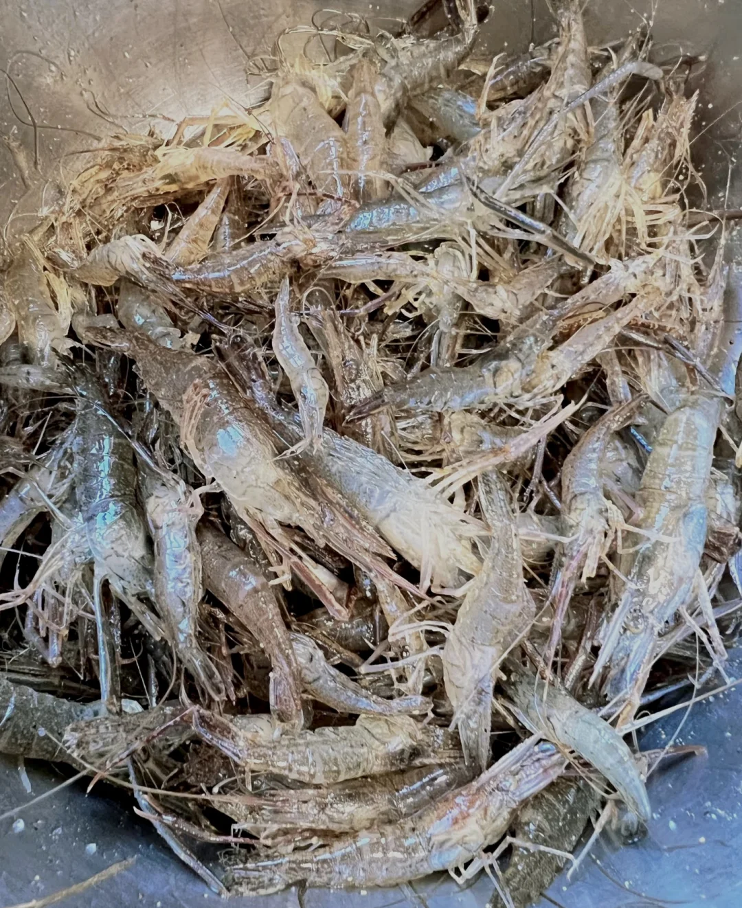 在南湾湖景区内吃到我DNA动了！