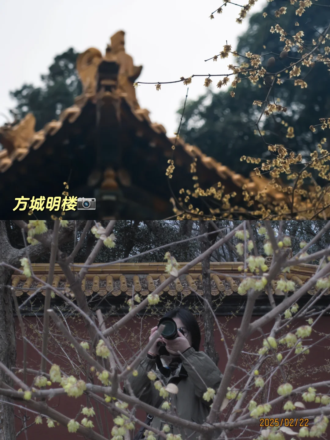 南京丨瑞评钟山景区（部分）