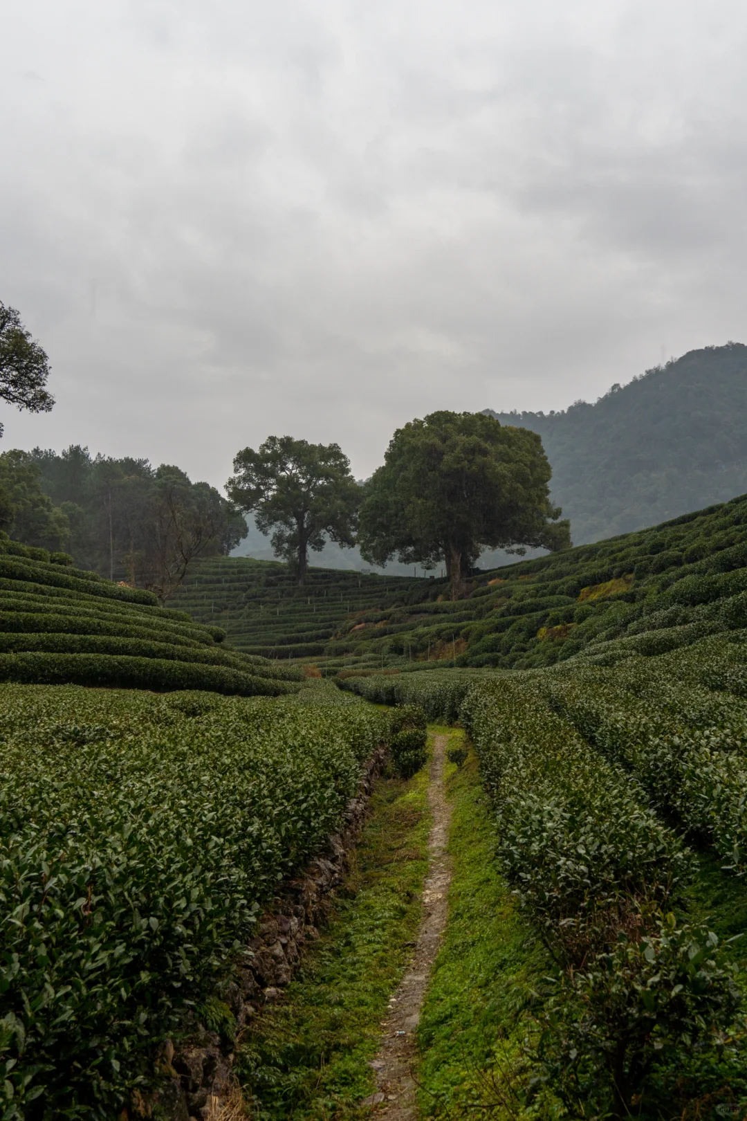 在十里琅珰徒步是这次杭州行的最佳体验