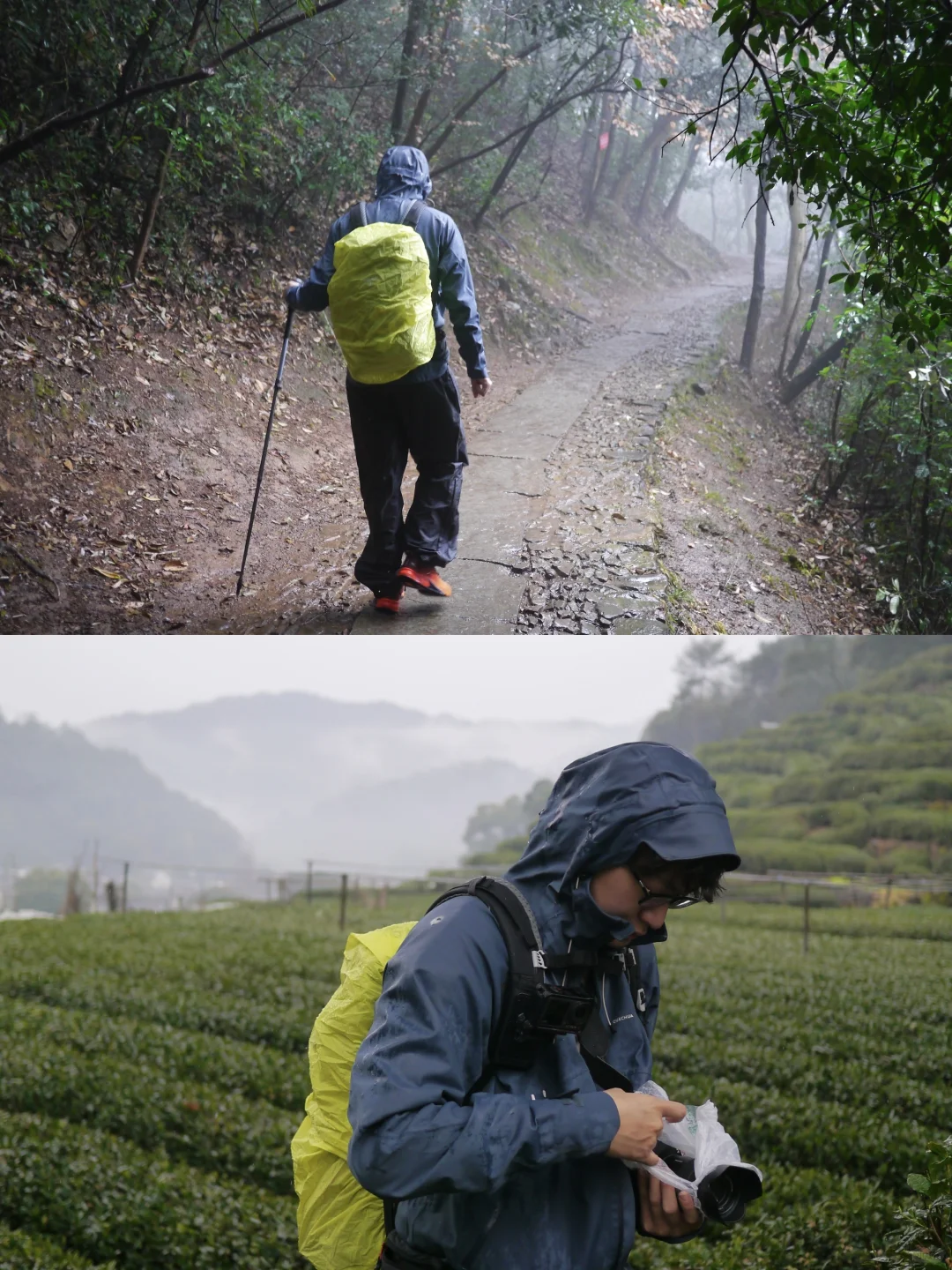 在十里琅珰徒步是这次杭州行的最佳体验