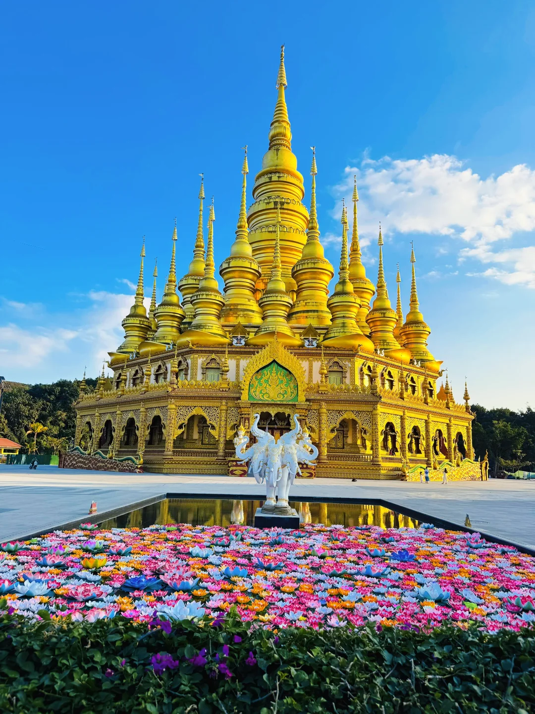 到底值不值得来 西双版纳勐泐文化旅游区