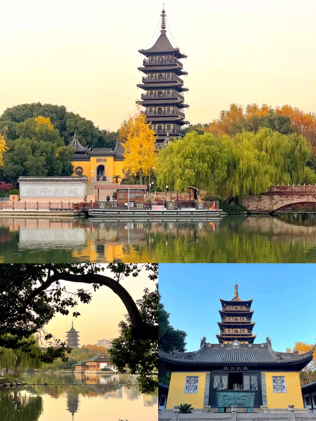 🌈嘉兴｜2-3月淡季来真的很香！人少景美