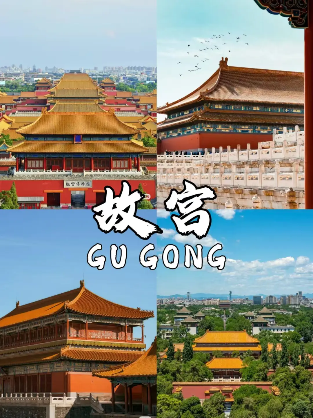 北京旅游🔥一家一团私人订制家庭纯玩来咯