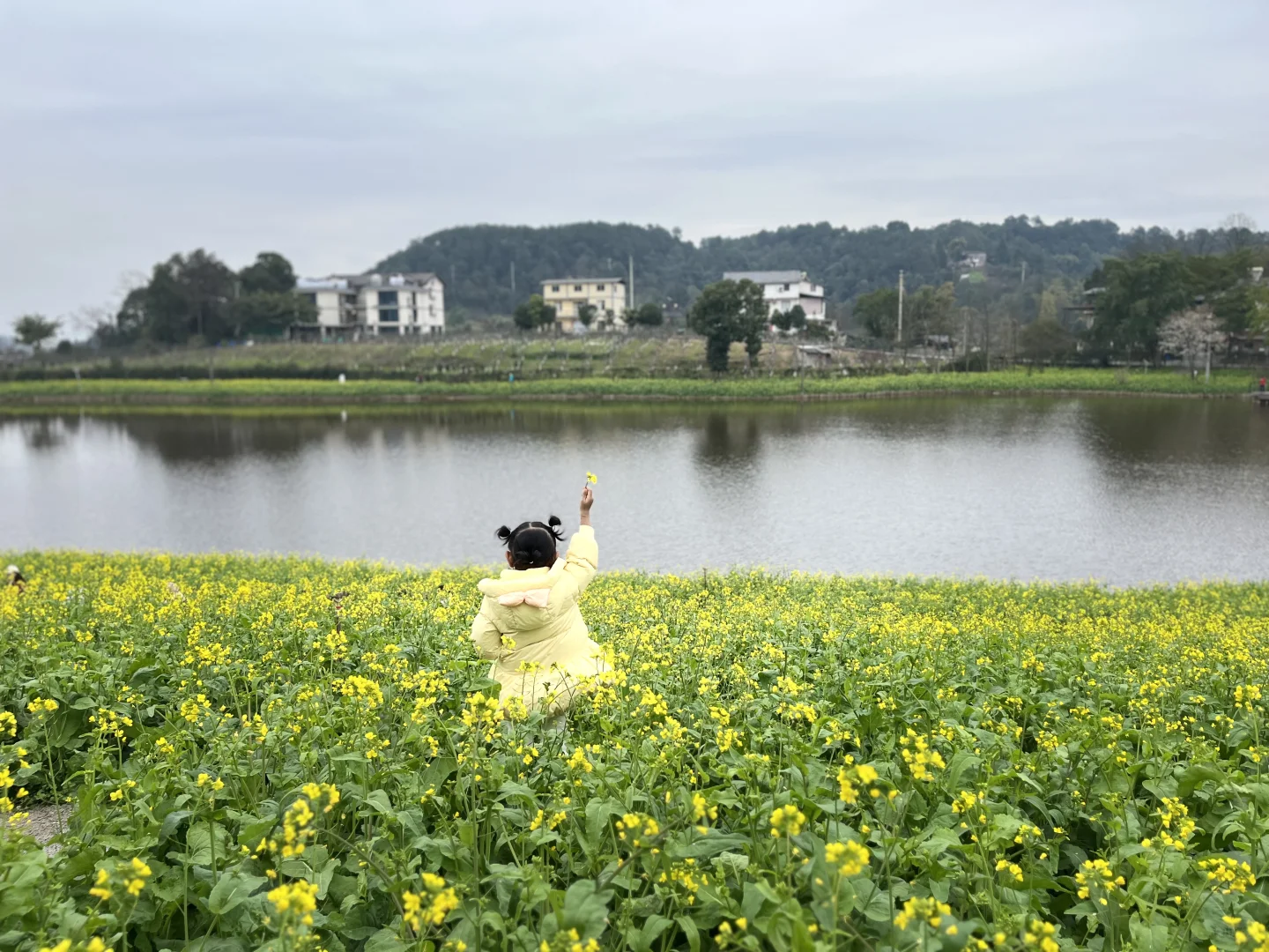 误入童话世界，周末老父亲花海里遛娃~