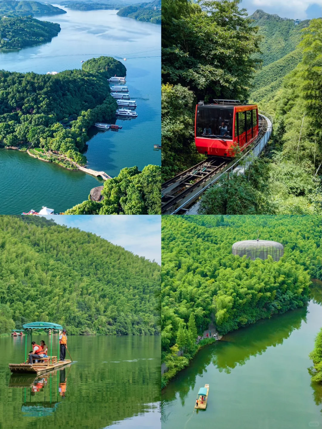 🌈常州| 2-4月来真的很香，人少景美！