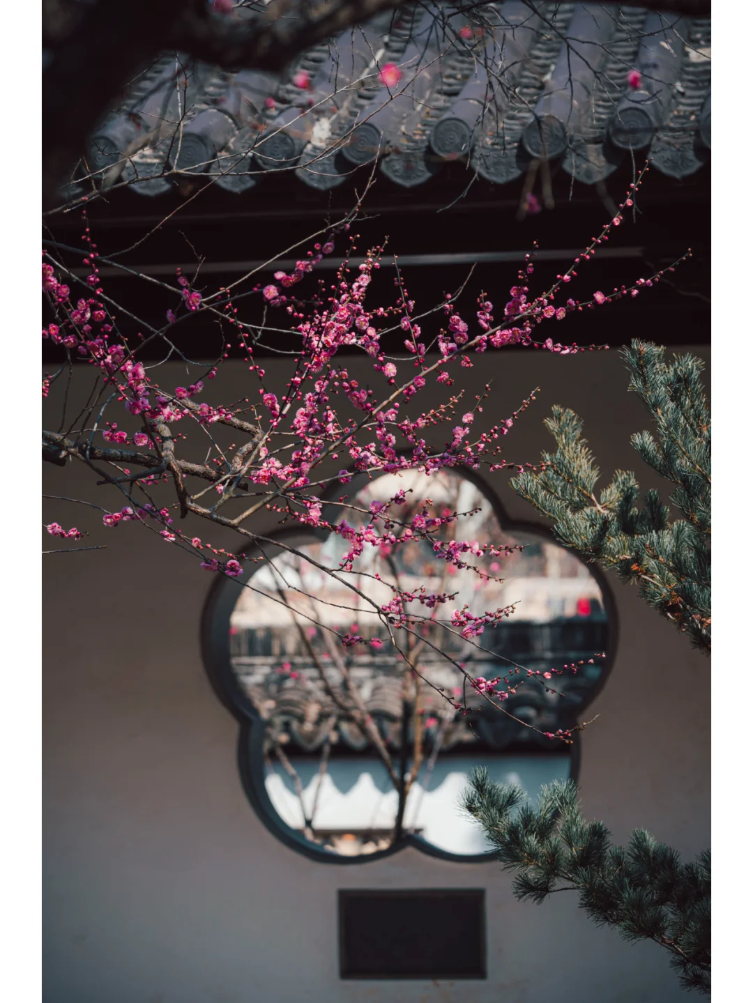 南京梅岗|终于开了‼️中式审美太好看了✌