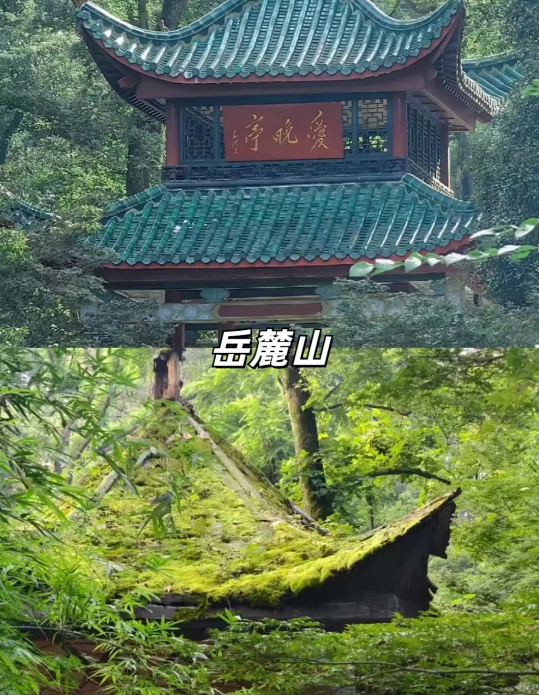 湖南•长沙|最全旅游攻略，必打卡景点与美食