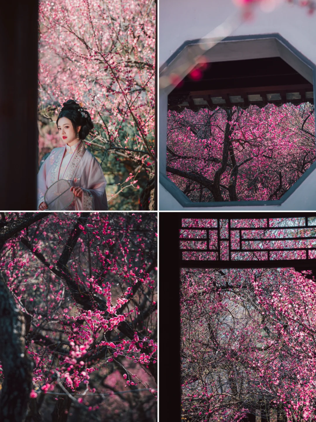 南京梅岗|终于开了‼️中式审美太好看了✌