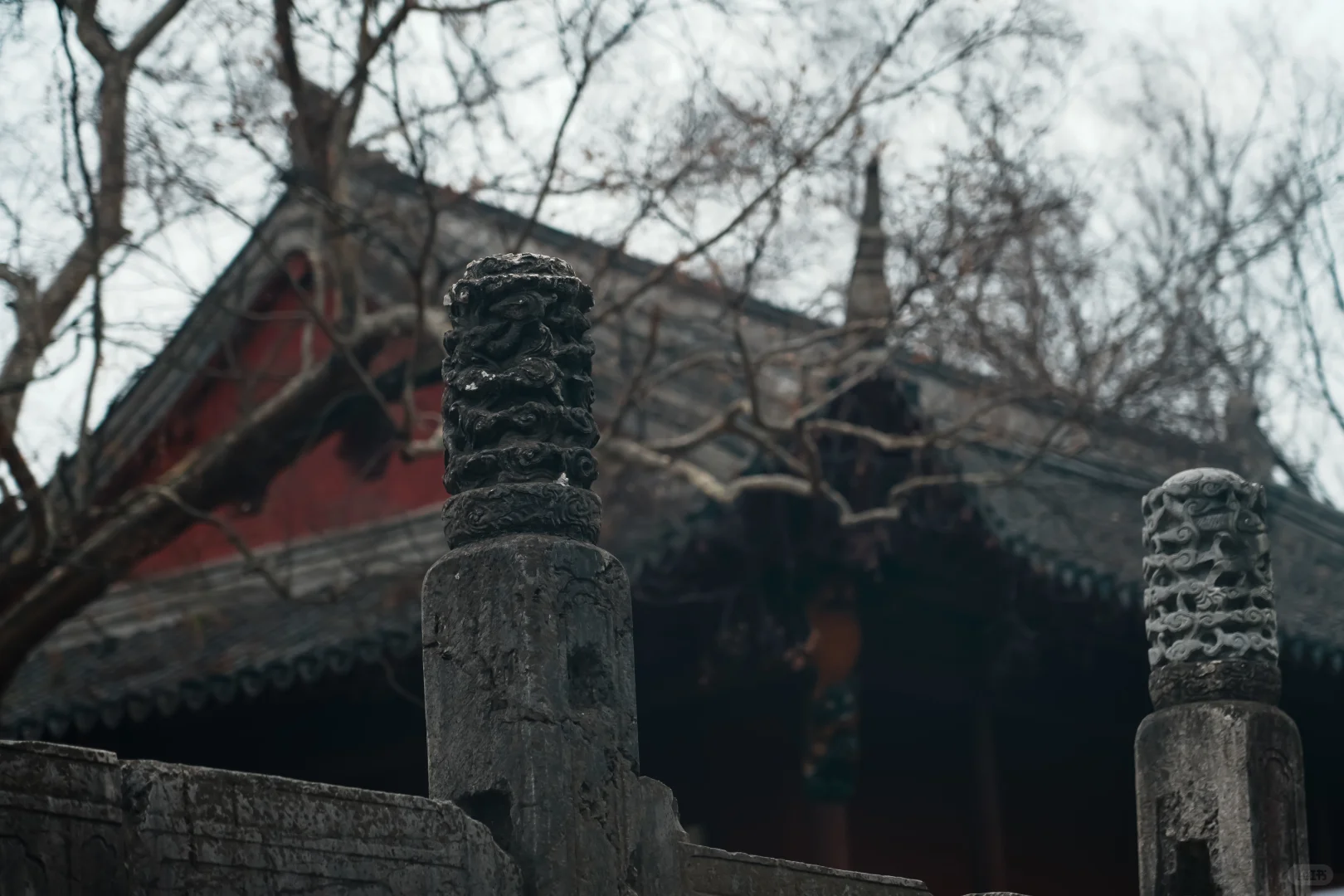 南京丨瑞评钟山景区（部分）