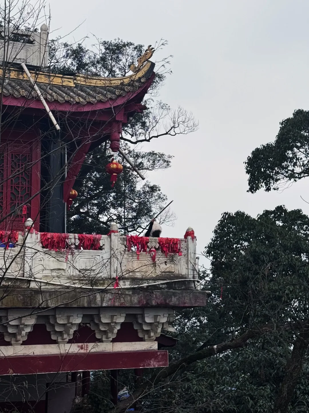 小小青城山 拿下！