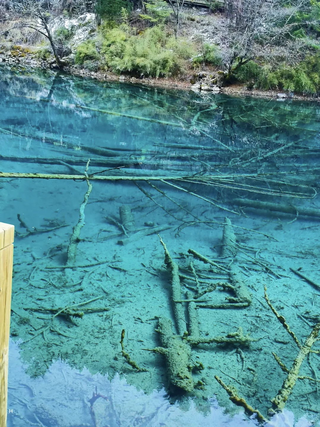 九寨沟旅游攻略