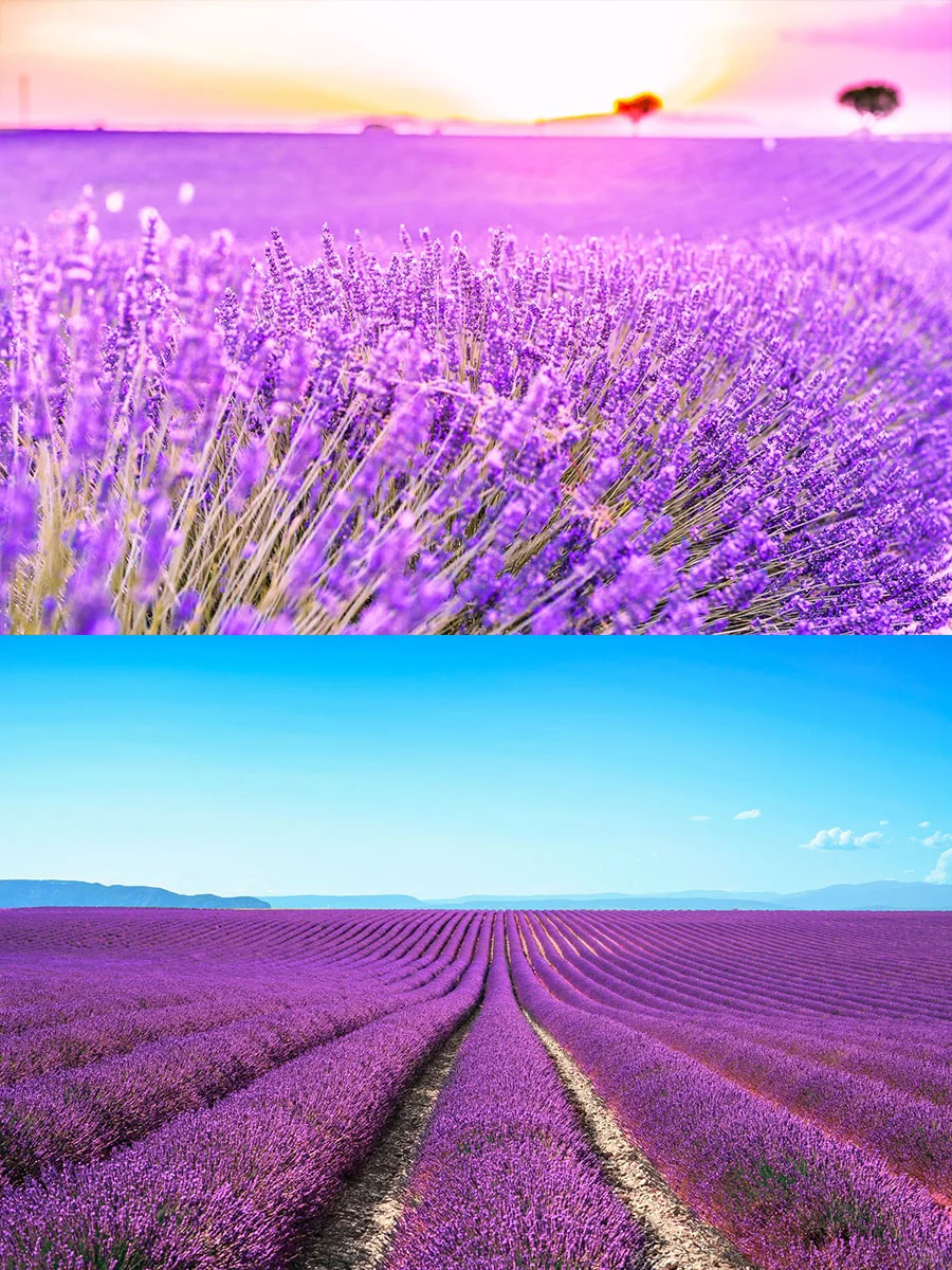 准备欧洲旅行！这篇旅游攻略不容错过