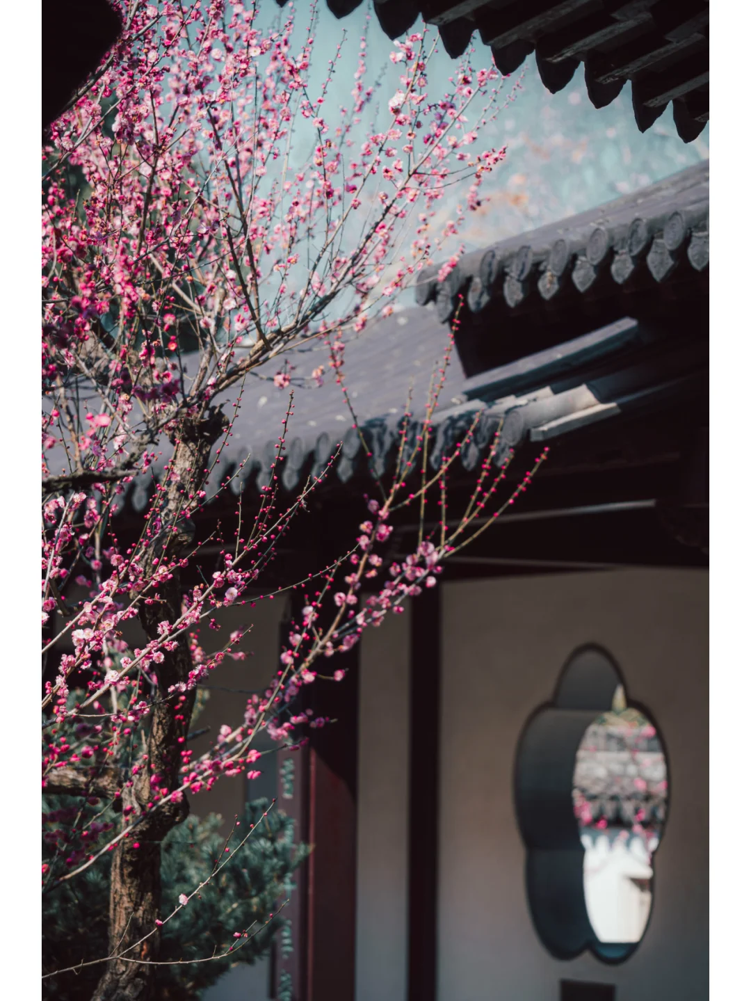 南京梅岗|终于开了‼️中式审美太好看了✌