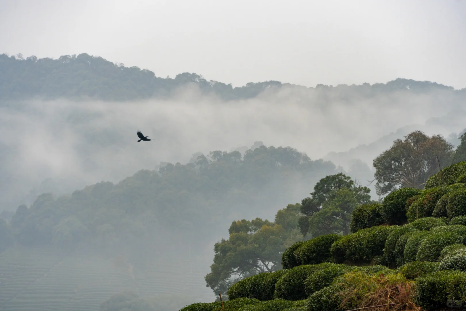在十里琅珰徒步是这次杭州行的最佳体验