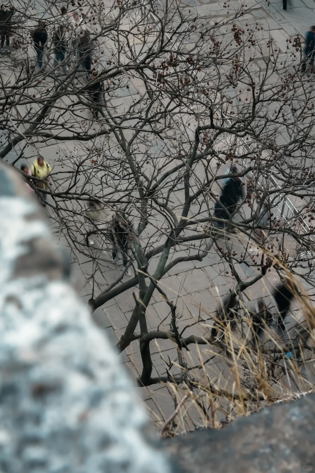 南京丨瑞评钟山景区（部分）