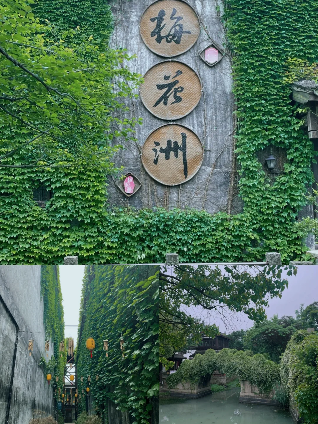 🌈嘉兴｜2-3月淡季来真的很香！人少景美