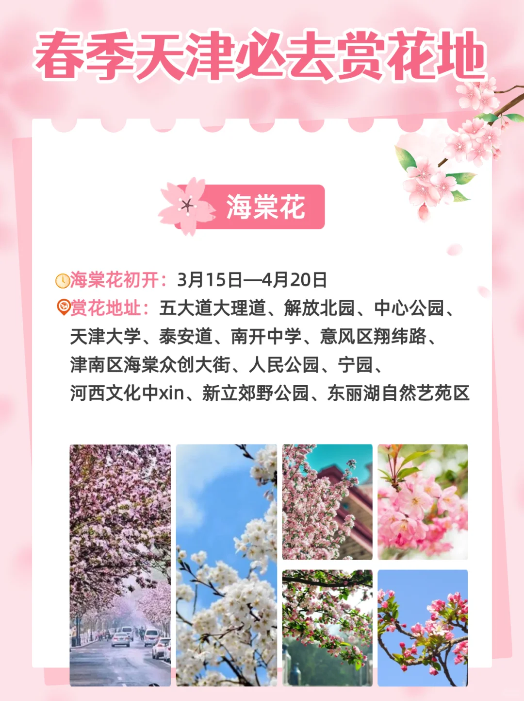 2025天津超全赏花指南🌸天津将迎来盛大花市