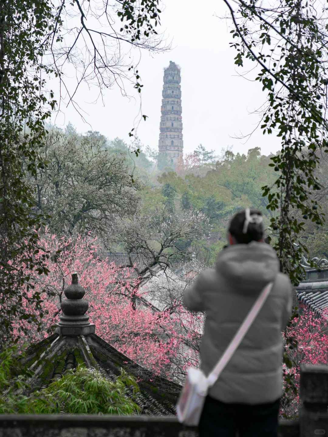 小红书里跟风最成功的一次！！！