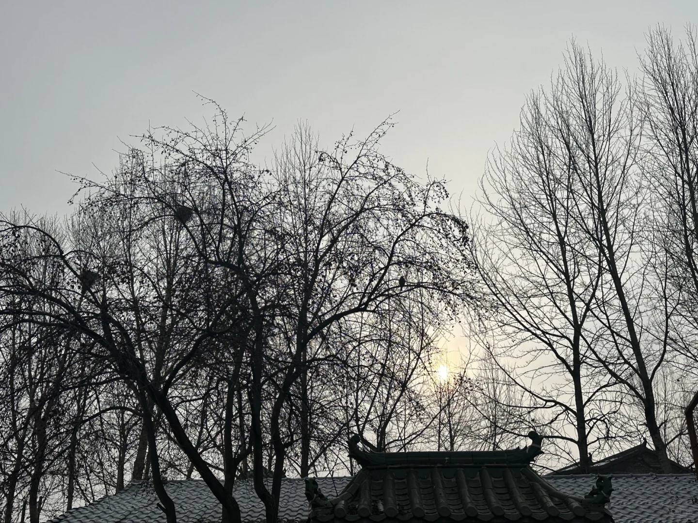 穿越千年时光！探秘青海慕容古寨✨