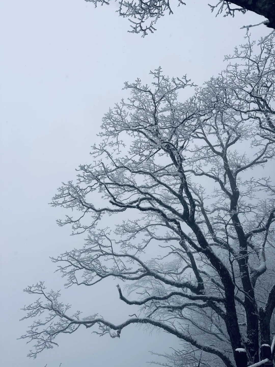西安至汉中龙头山一日游攻略，看雪景啦