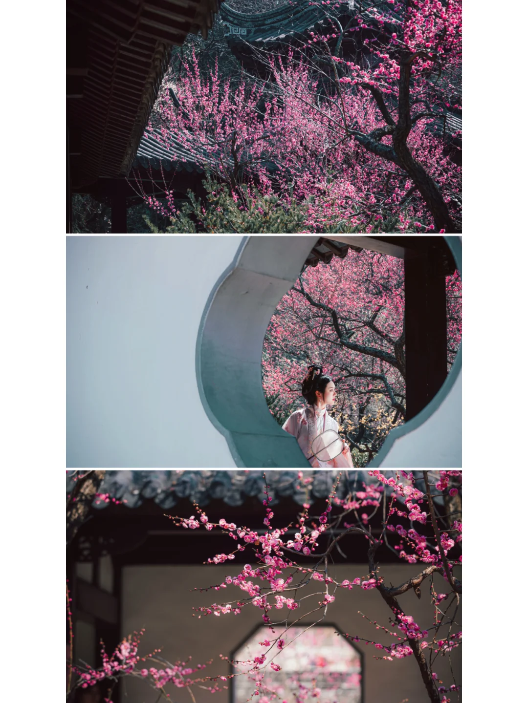 南京梅岗|终于开了‼️中式审美太好看了✌