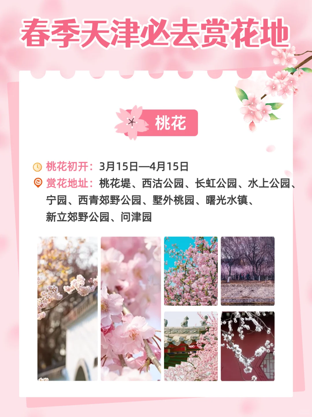 2025天津超全赏花指南🌸天津将迎来盛大花市