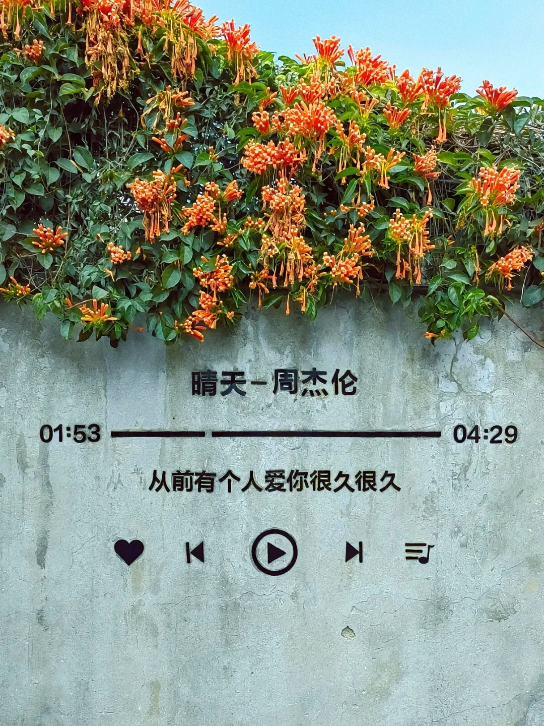 🌟【厦门旅游攻略】🌟——3天2夜玩转文艺海岛