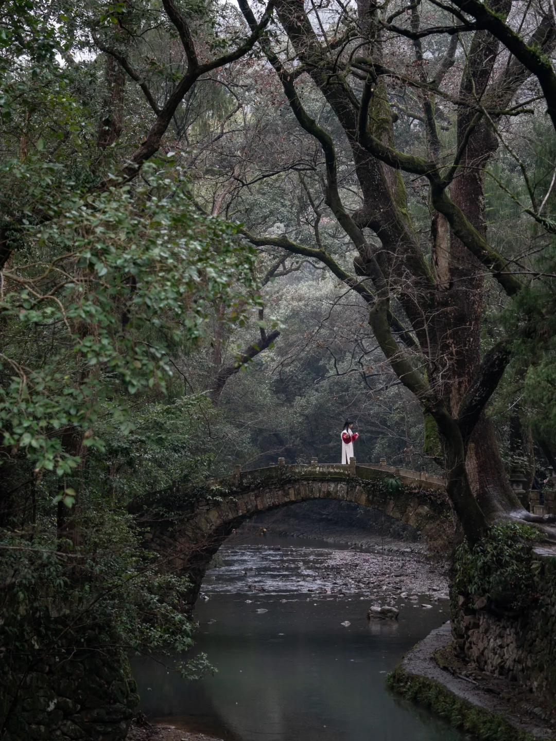 小红书里跟风最成功的一次！！！
