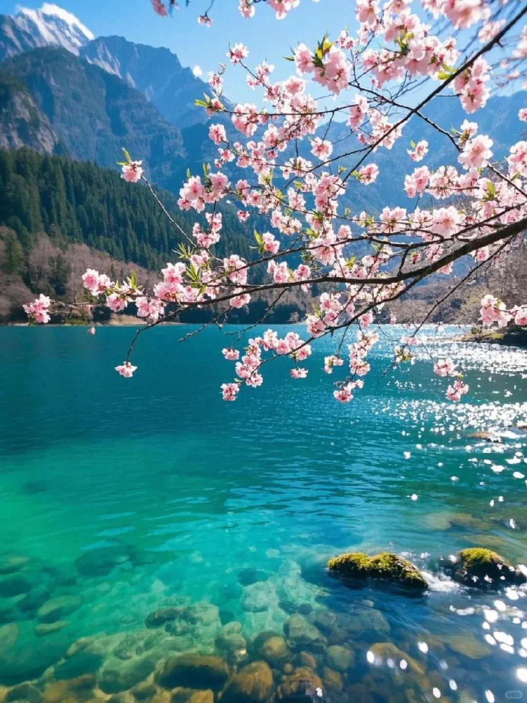 春季川西小环线🔥九寨沟+四姑娘山3日纯玩