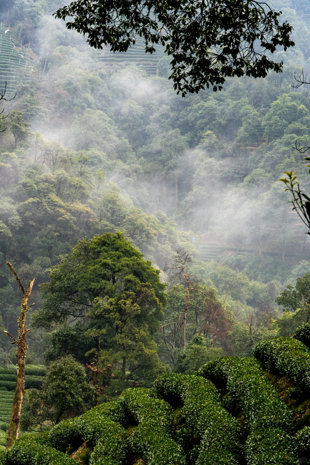 在十里琅珰徒步是这次杭州行的最佳体验