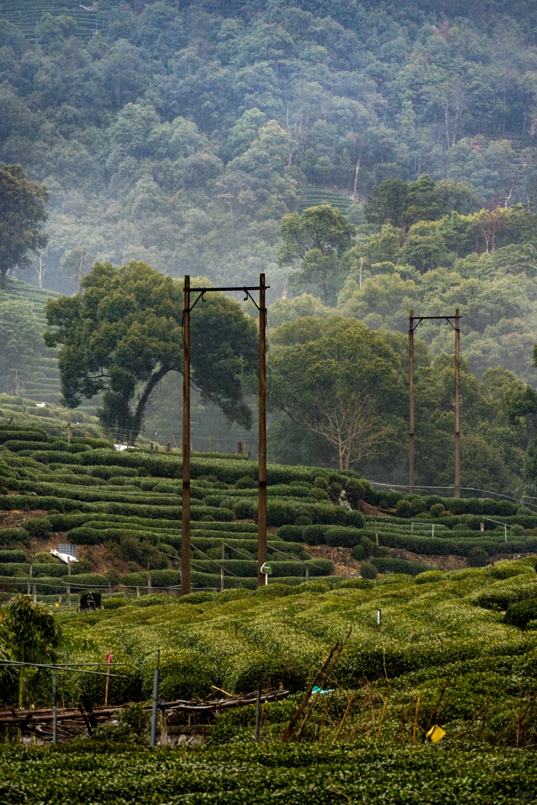 在十里琅珰徒步是这次杭州行的最佳体验