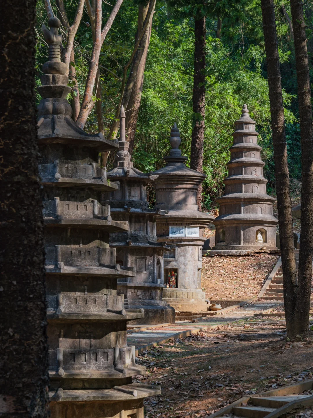 在深圳🍃去了N次依然觉得震撼的龙岗秘境❗