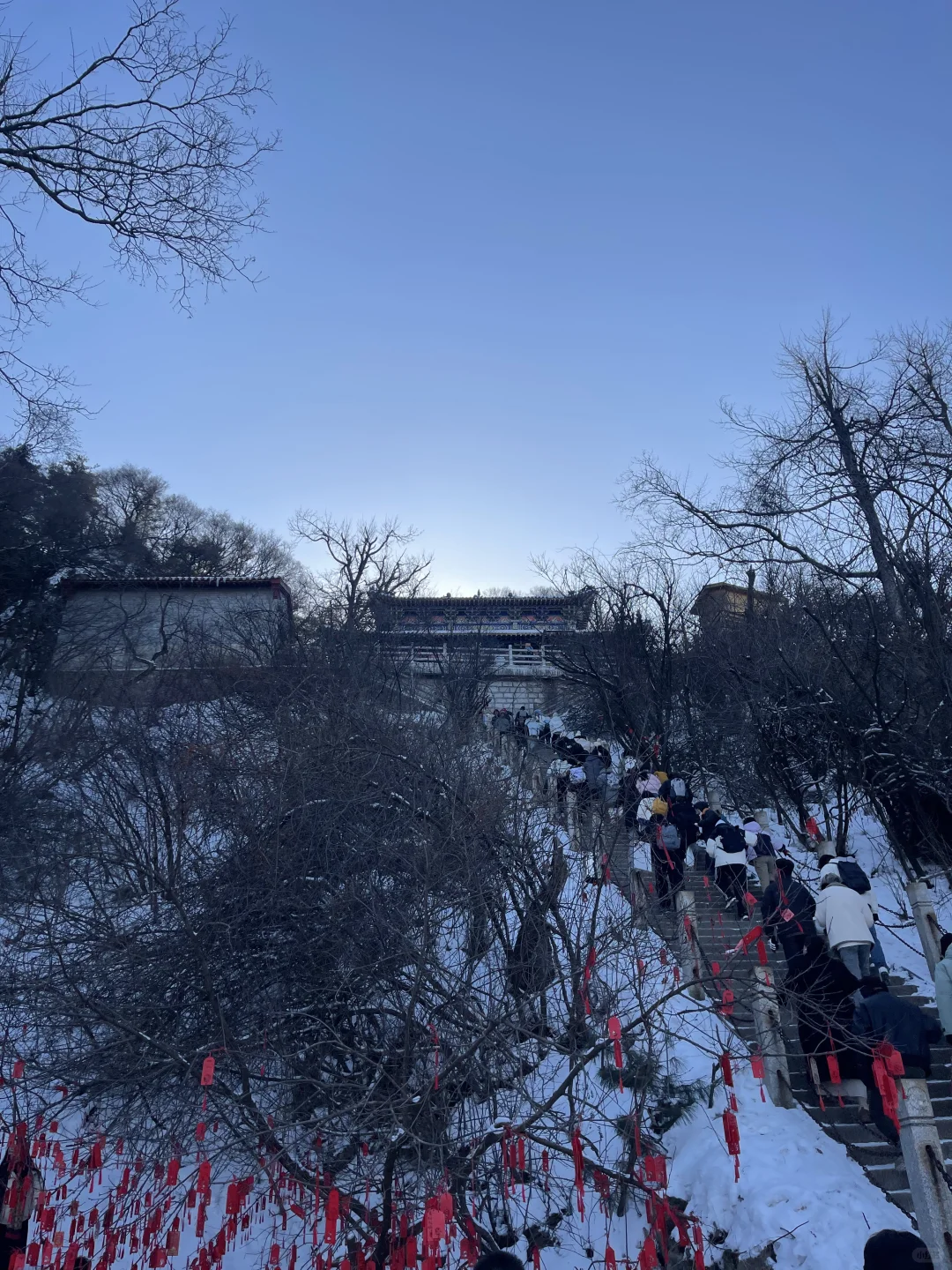 河南·老君山｜远赴人间惊鸿宴一睹人间盛世颜