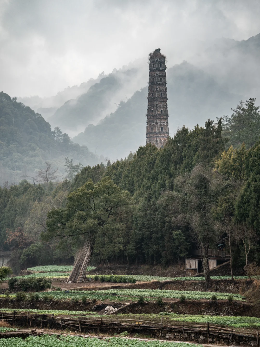 小红书里跟风最成功的一次！！！
