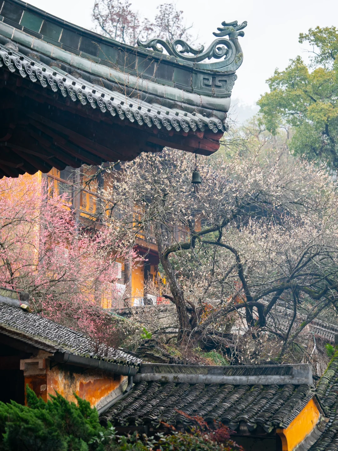 小红书里跟风最成功的一次！！！