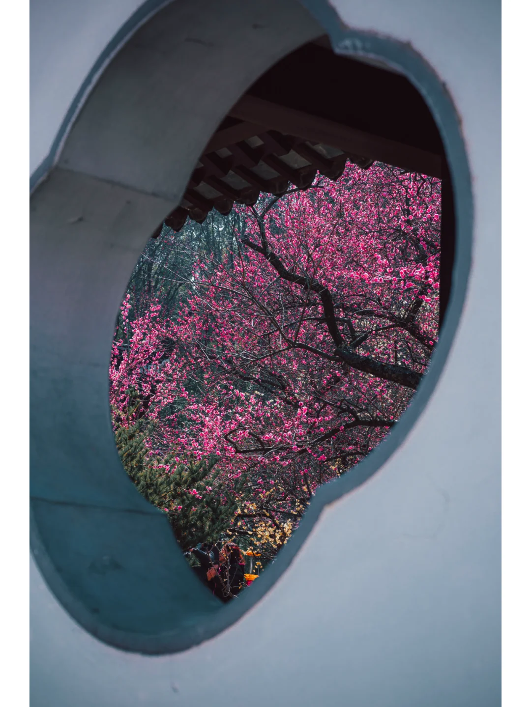 南京梅岗|终于开了‼️中式审美太好看了✌