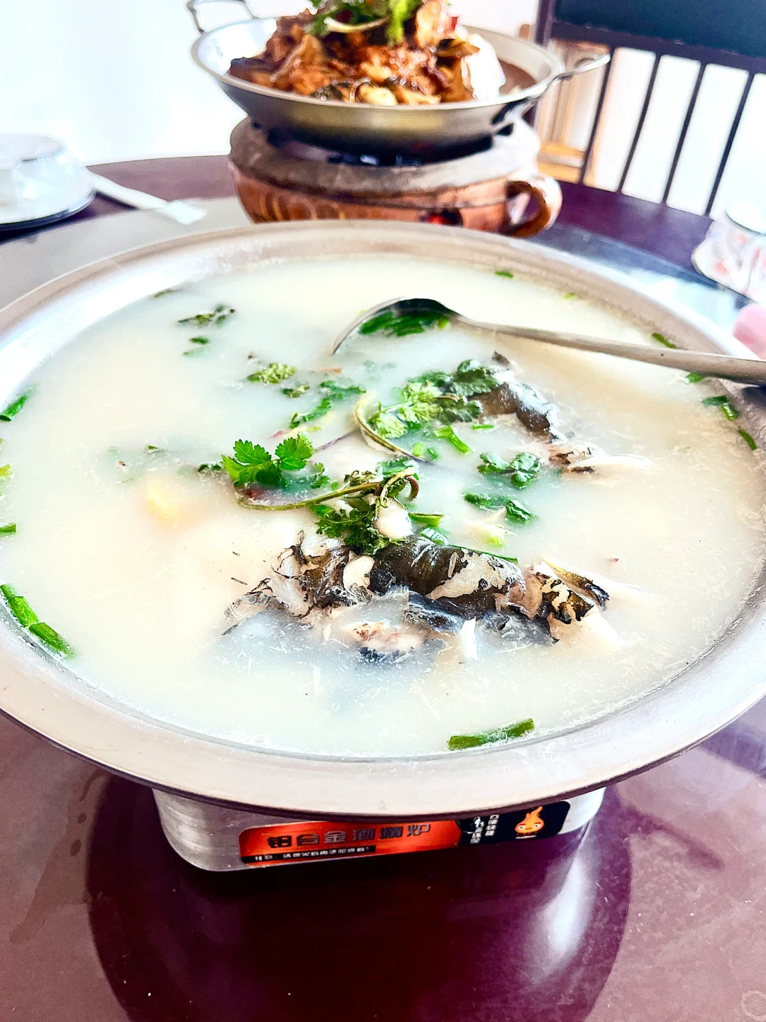 在南湾湖景区内吃到我DNA动了！