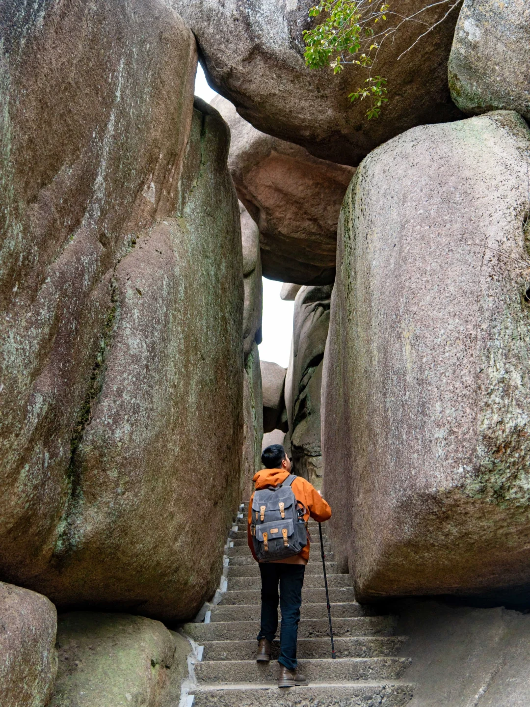 以为黄山够美了‼️直到遇到哪吒敖丙登天柱山