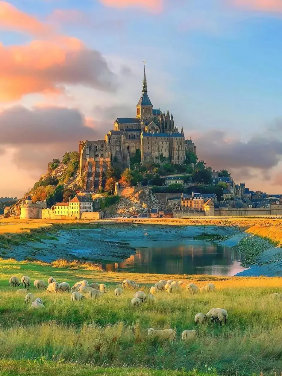 刚从法国回来😭不知道该说还是不该说…