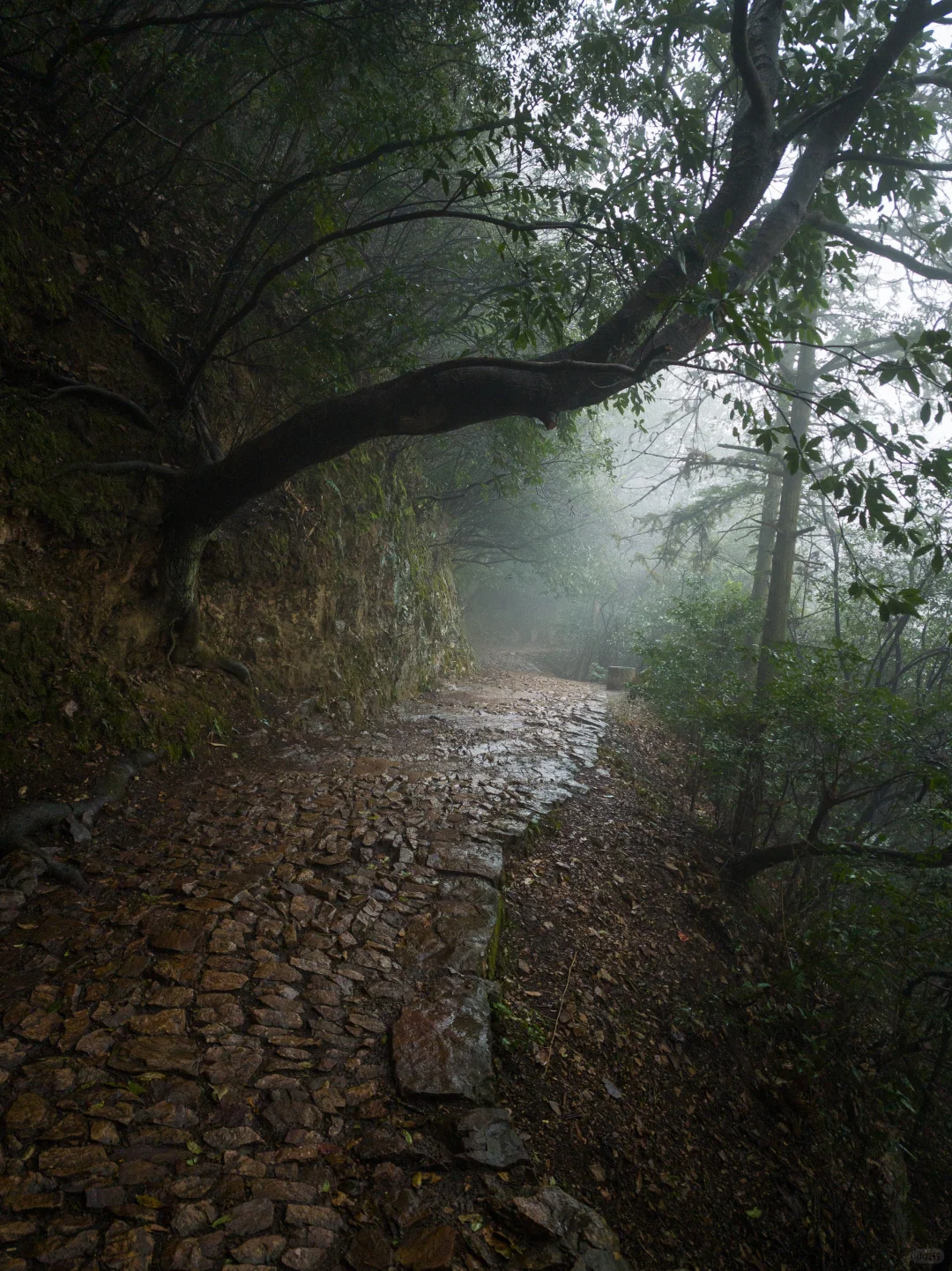 在十里琅珰徒步是这次杭州行的最佳体验