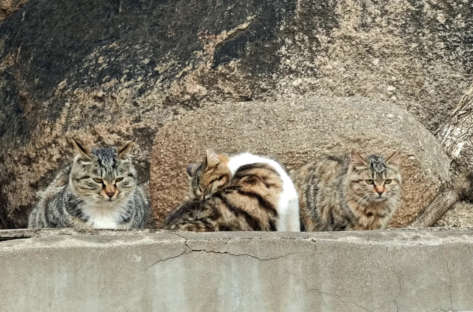 天津名山盘山免门票啦！（含攻略）