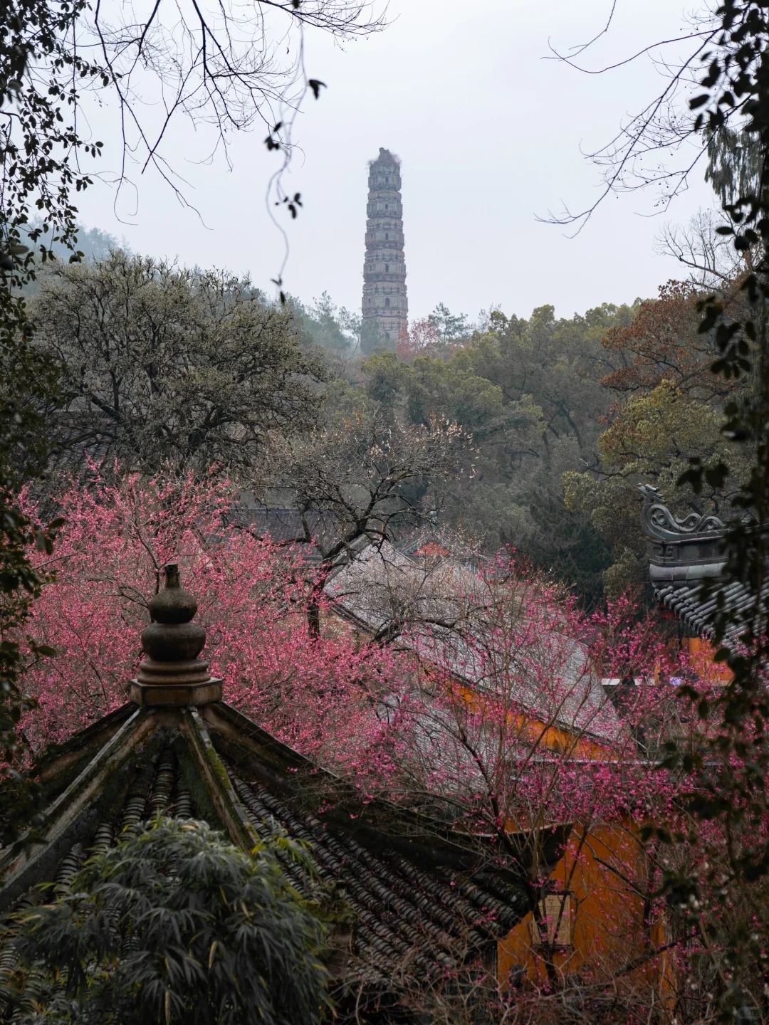 小红书里跟风最成功的一次！！！