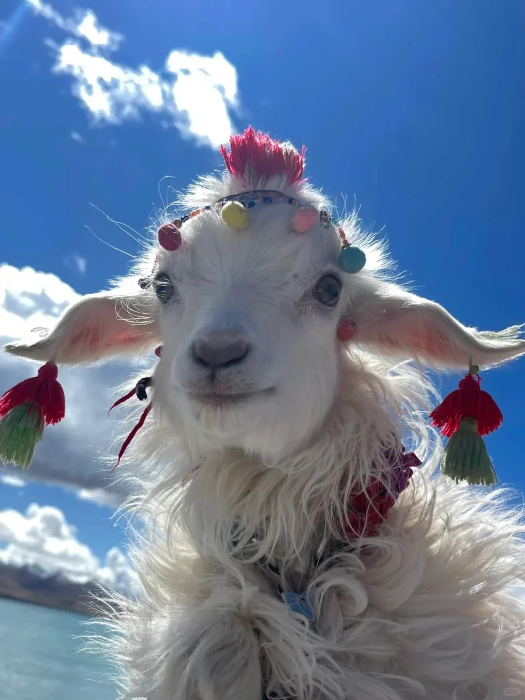 西藏跟团已回，说下我的真实感受（不删！）