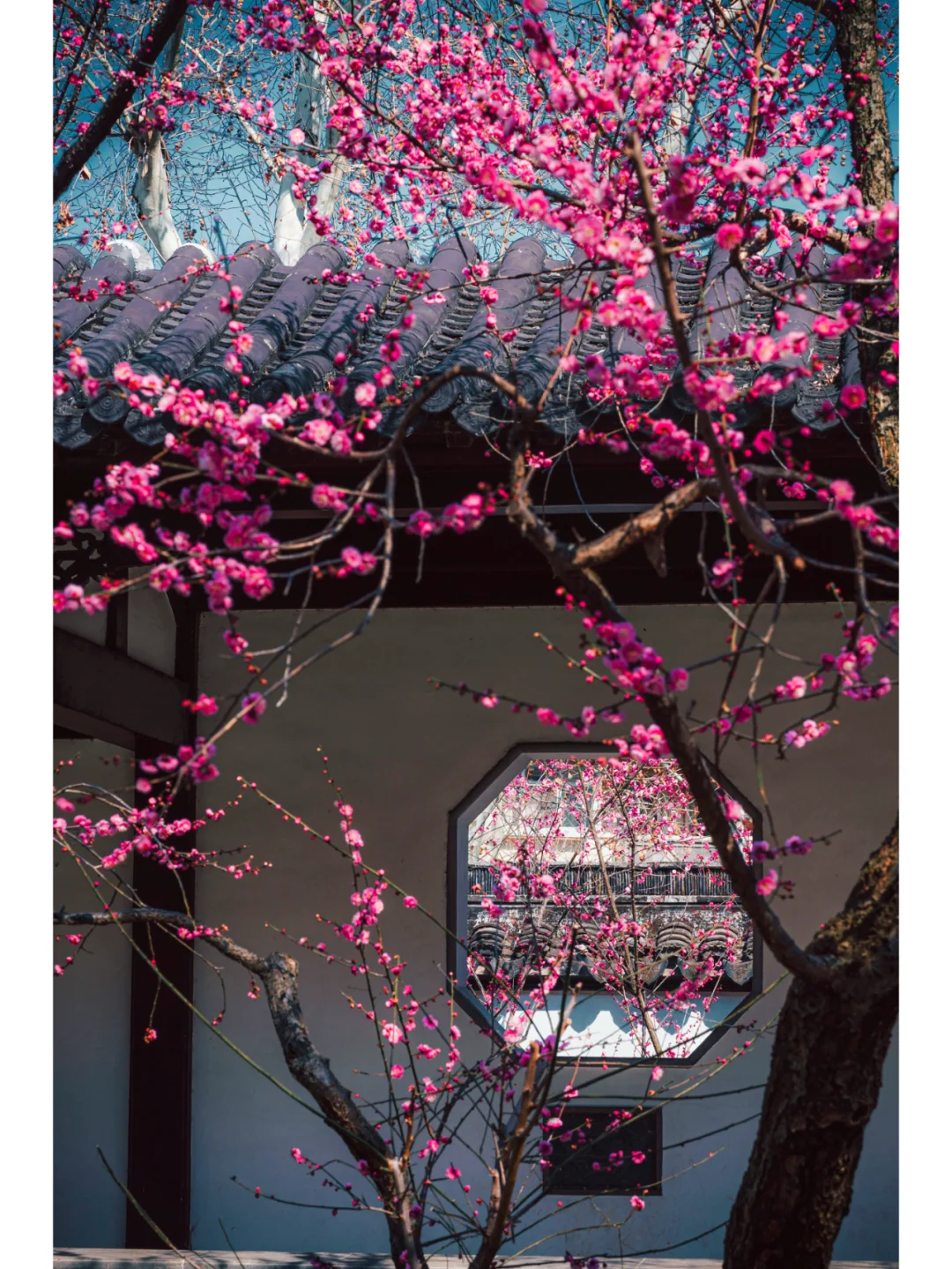 南京梅岗|终于开了‼️中式审美太好看了✌