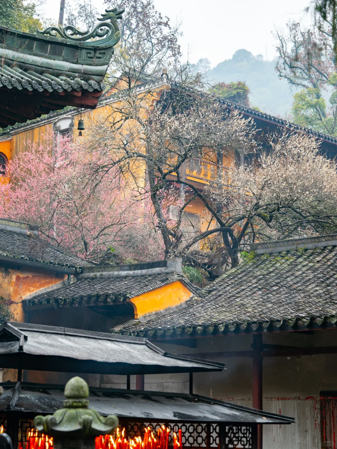 小红书里跟风最成功的一次！！！