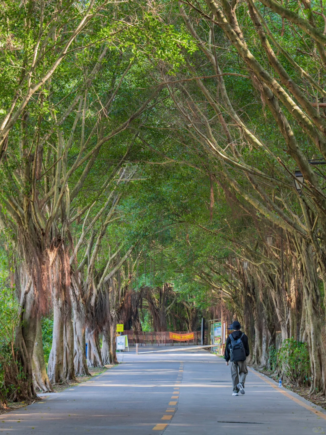 在深圳🍃去了N次依然觉得震撼的龙岗秘境❗