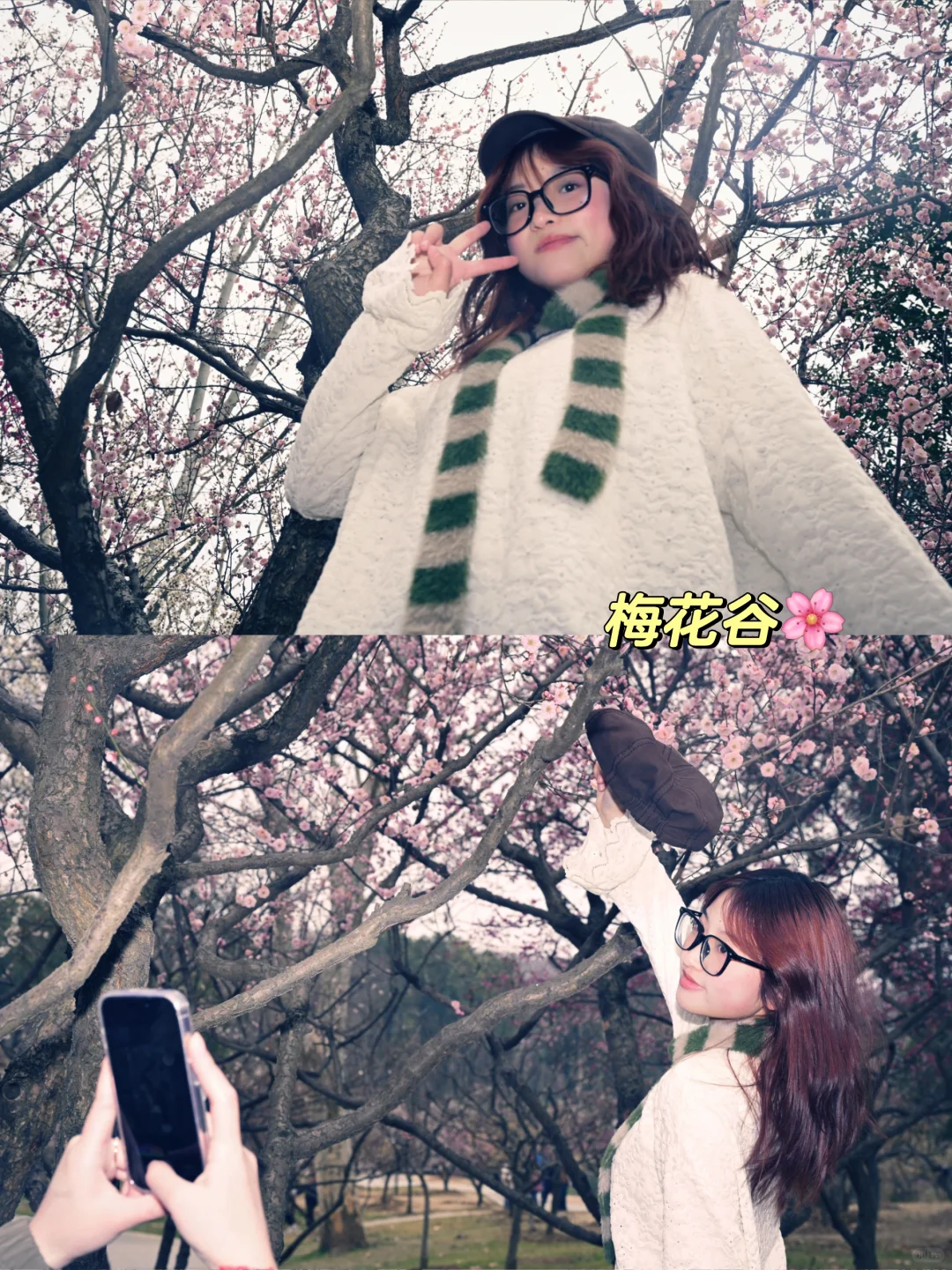 南京丨瑞评钟山景区（部分）