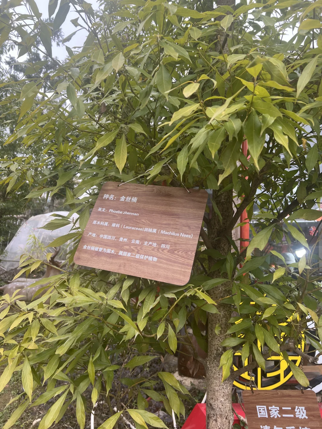 厦门旅游攻略#云水谣土楼篇