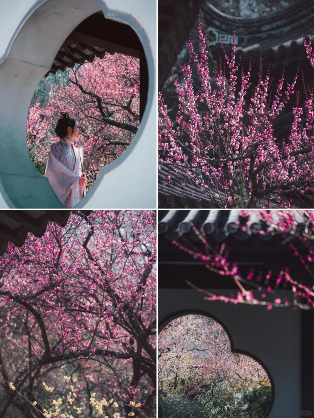 南京梅岗|终于开了‼️中式审美太好看了✌